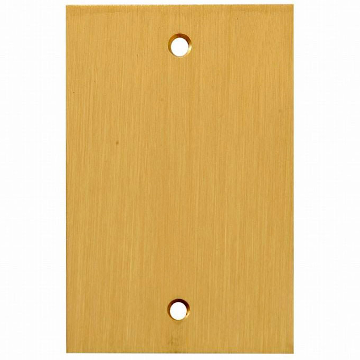 Placa Acabamento Cego Para Piso 4X2 Latão - Stamplac