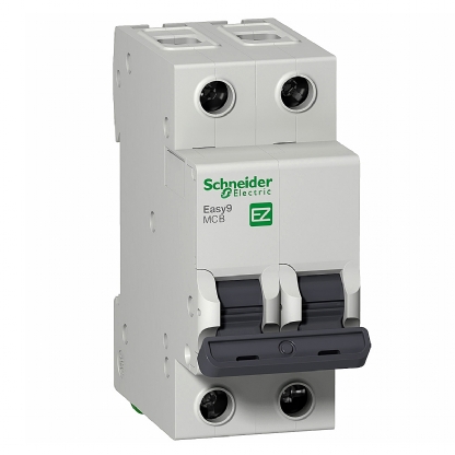 Disjuntor Mini Din Bipolar 63A Curva B 3Ka 230/400V EZ9F13263 - Schneider Electric