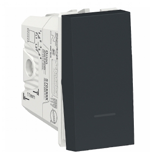 Módulo Interruptor Bipolar Paralelo 10A Orion Grafite - Schneider Electric