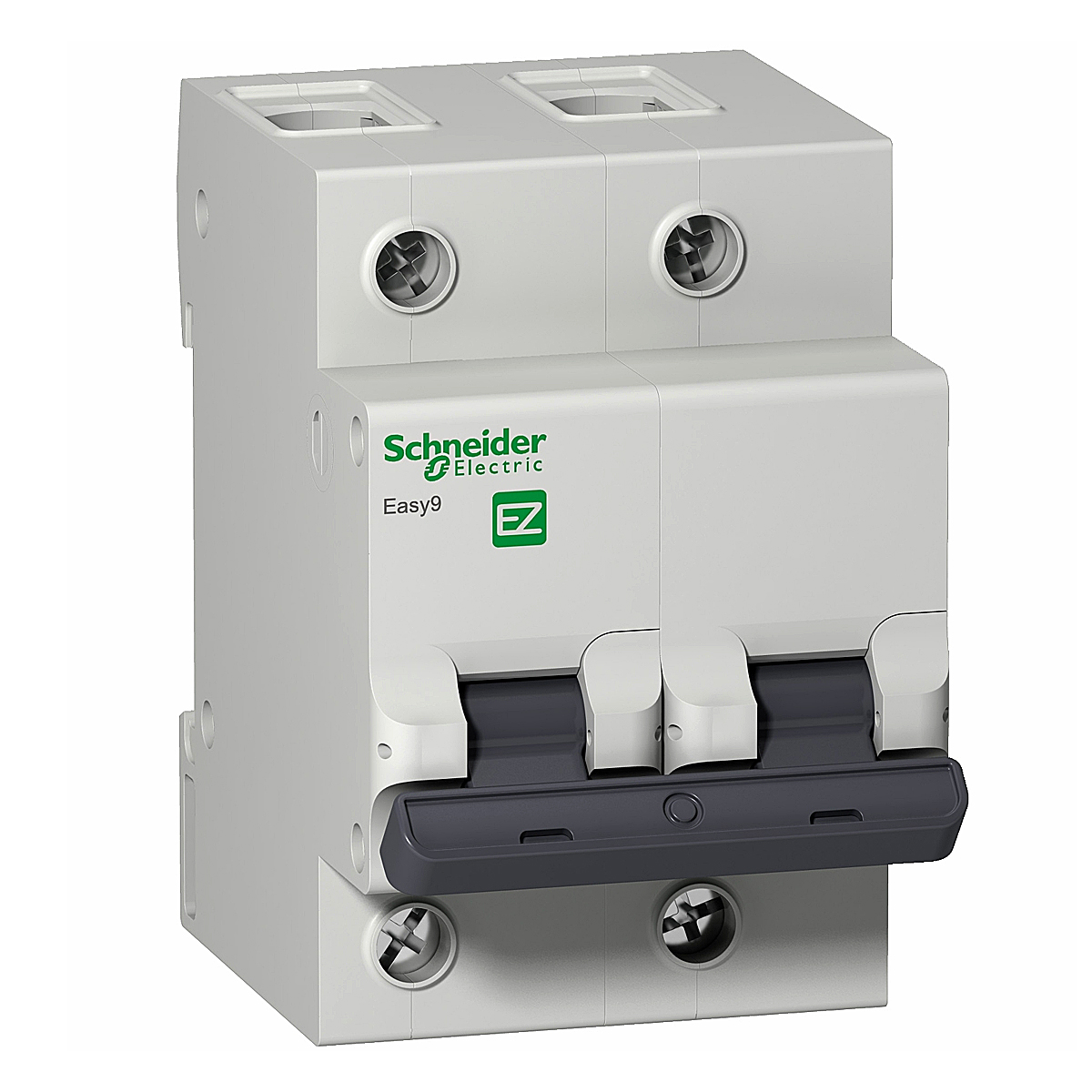 Disjuntor Mini Din Bipolar 100A Curva C 4,5Ka 230/400V EZ9F33291 - Schneider Electric