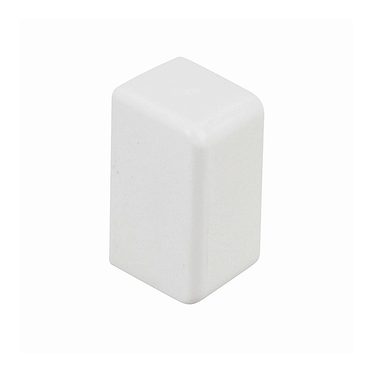 Tampa Extremidade Dexson 13X07 Branco DXN11035 - Schneider Electric