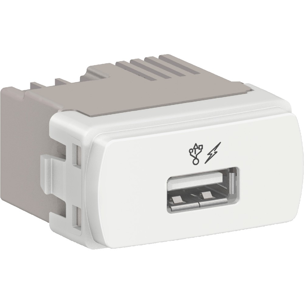 Módulo Tomada Carregador Entrada Usb 1A Bivolt Miluz Branco - Schneider Electric