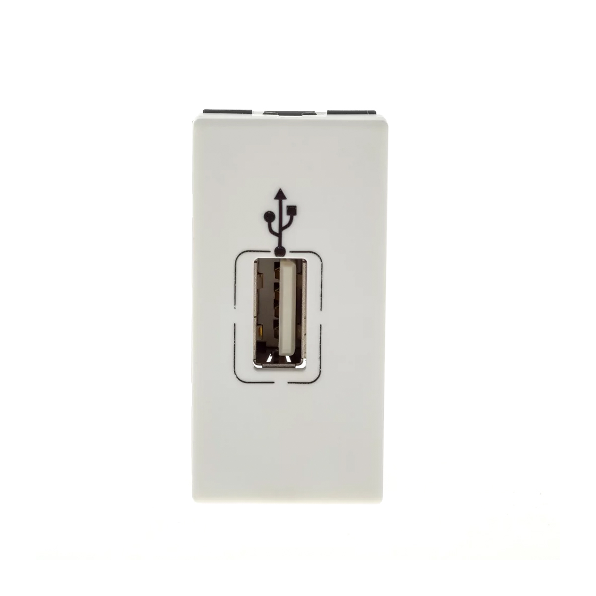 Módulo Tomada Dados 1 Entrada Usb 1 Módulo Branco Pialplus+ 615091bc - Pial