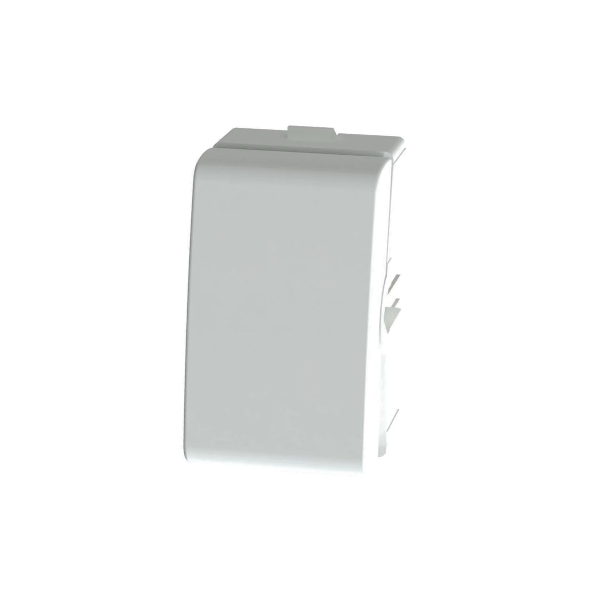 Modulo Interruptor Intermediario 1 Mod 10a 250v Bc Fosco Lun