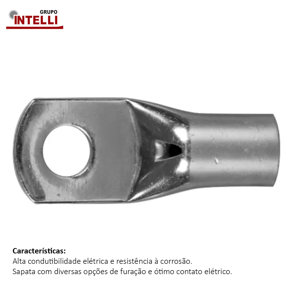 Terminal Compressão 0,50-2,50Mm 1 Compressão 1 Furo F=5,2Mm 3/16 (M5) 502 Intelli