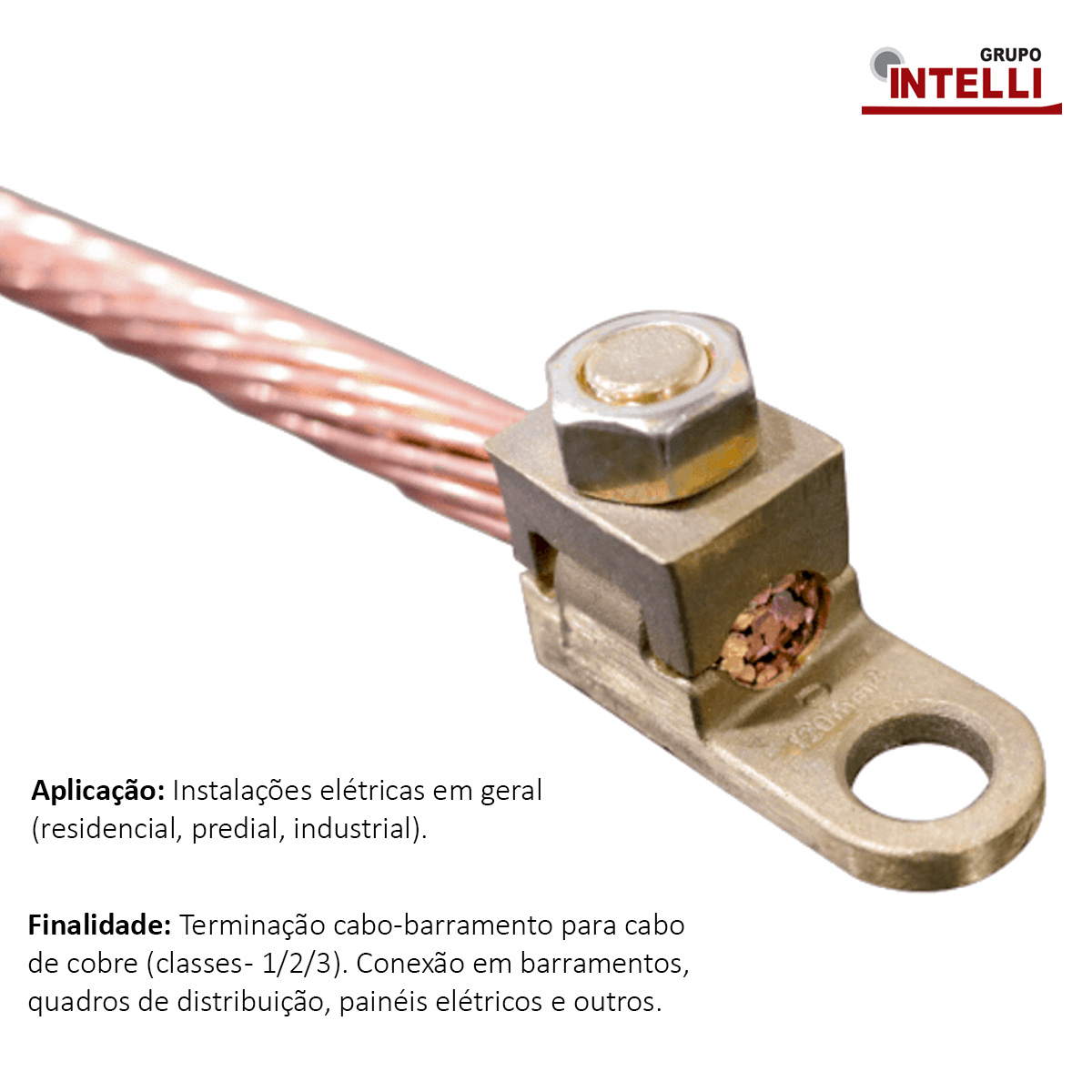 Terminal Pressão 1 Cabo 6Mm 1 Furo F=5,2Mm 3/16 (M5) 2846 Intelli