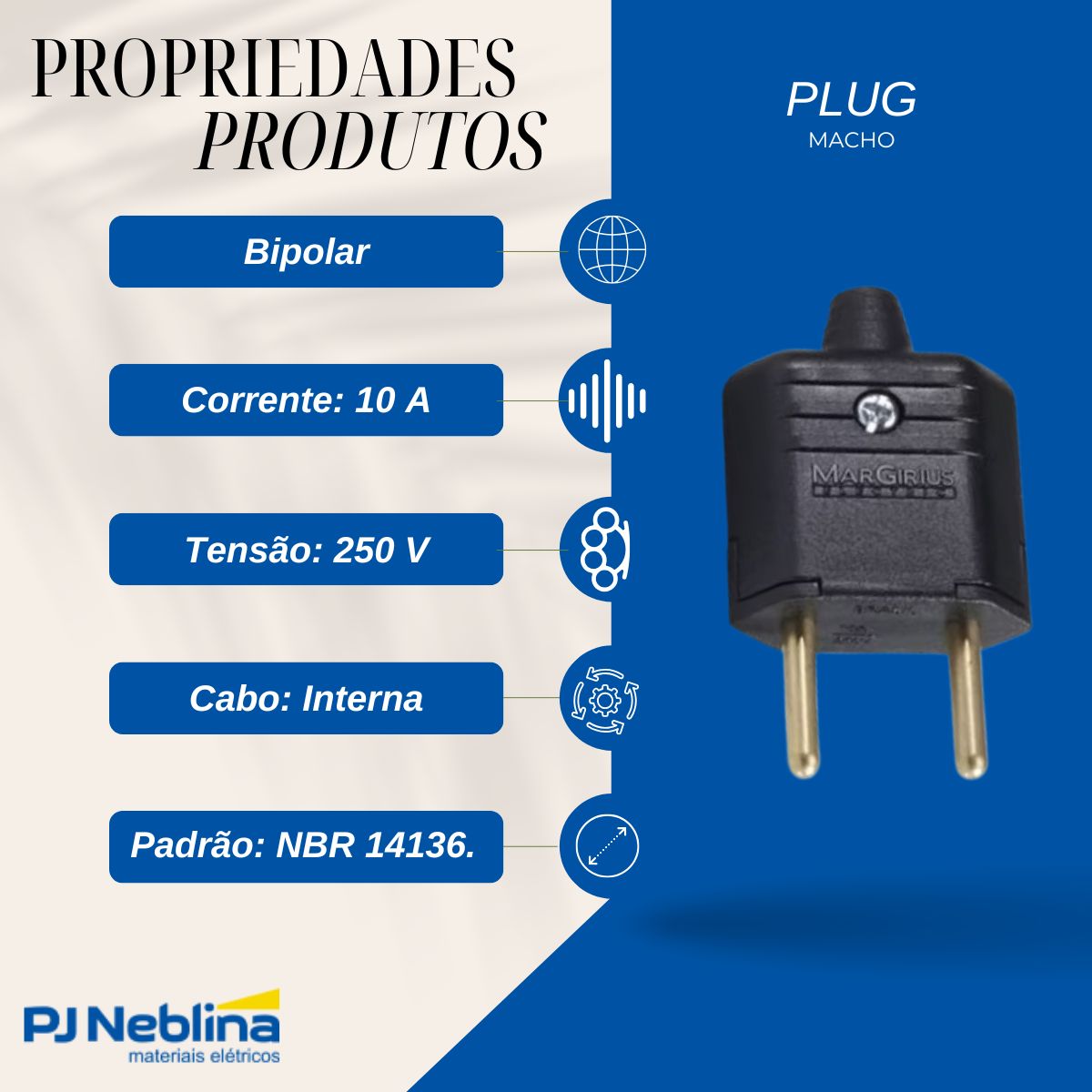Plug Macho 2P 10A 250V Preto Axial - Margirius
