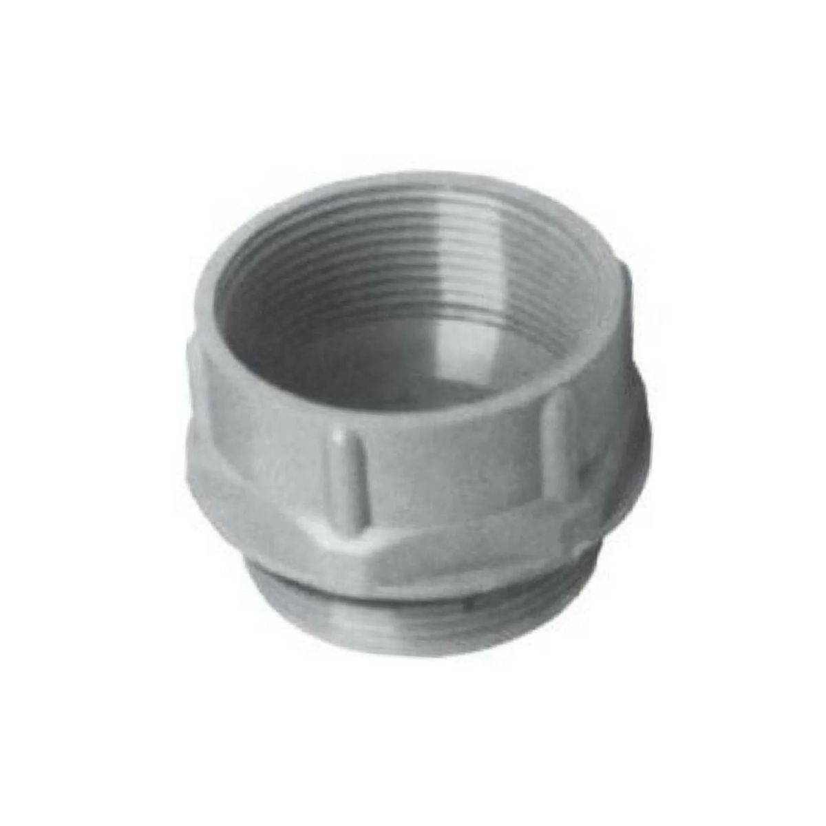 Adaptador Pg21 3/4 P/ Npt - Steck