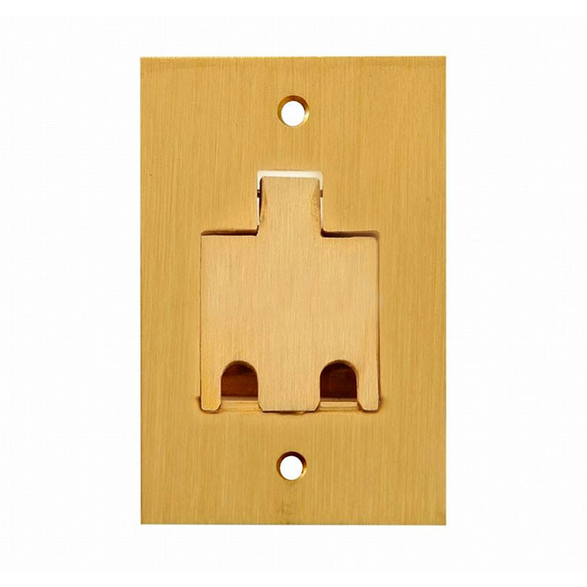 Placa Piso Latão 4x2 Para 2 Tomadas Rj45 Pl42/rj - Stampac