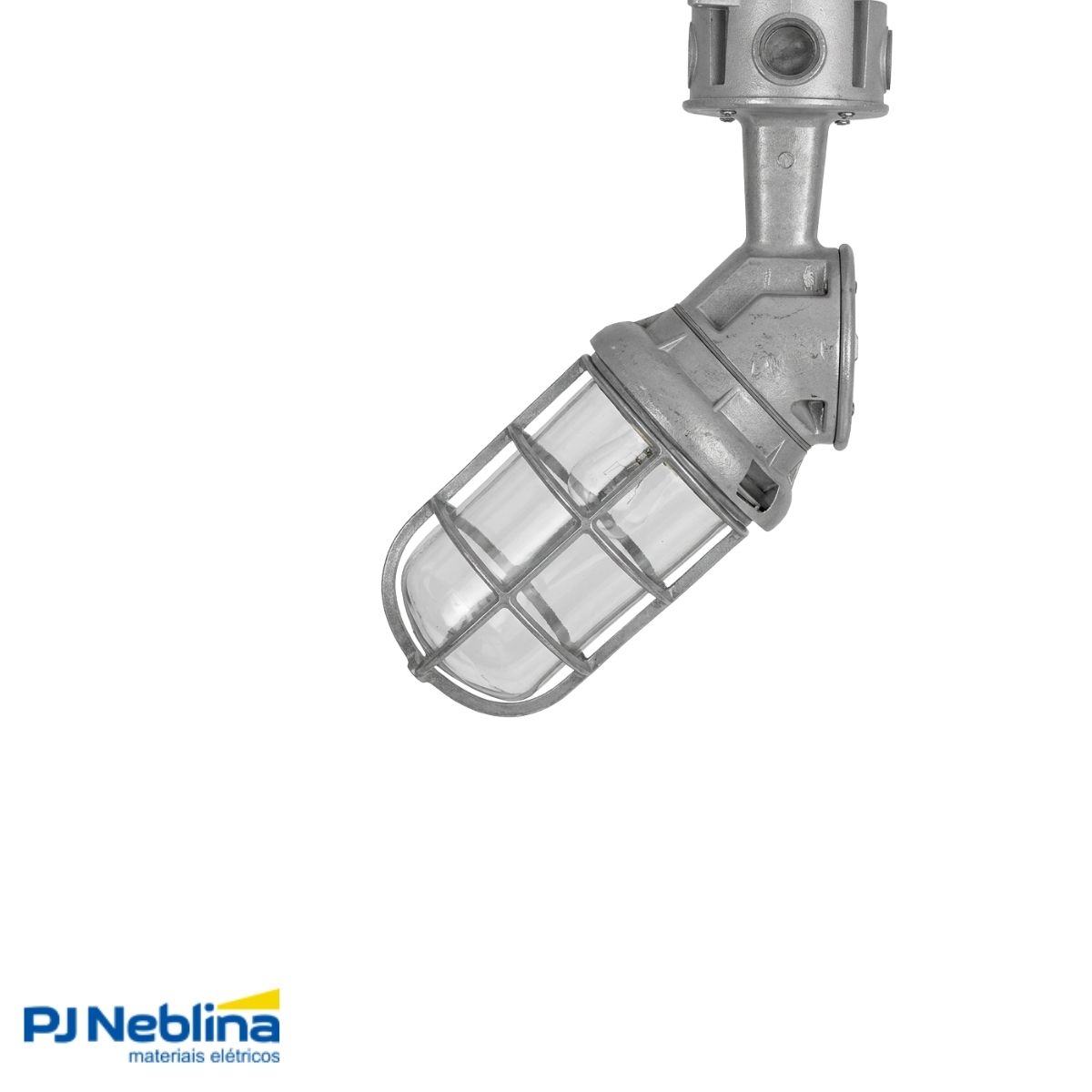 Luminária Industrial Arandela Tgvp Cz 250W E40 Difusor Vidro Alcalino 3/4 Bsp C/Aloj/Refl/Grade - Wetzel