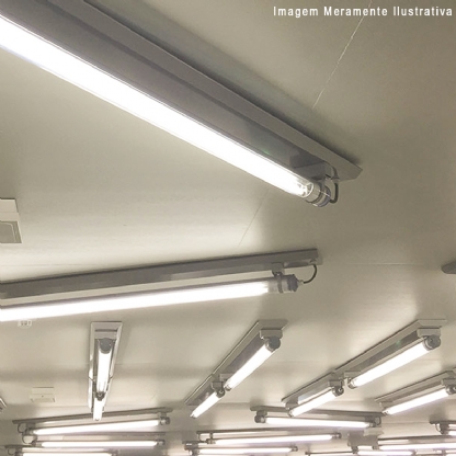 Lâmpada Fluorescente Tubular T5 13W G5 4000K Luz Neutra 563Mm - Philips