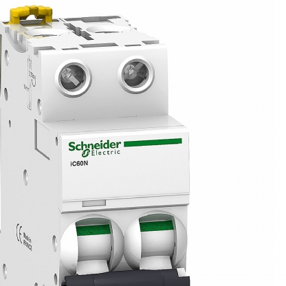 Disjuntor Mini Din Bipolar 2A Curva C 6Ka 230/400V A9F74202BR - Schneider Electric