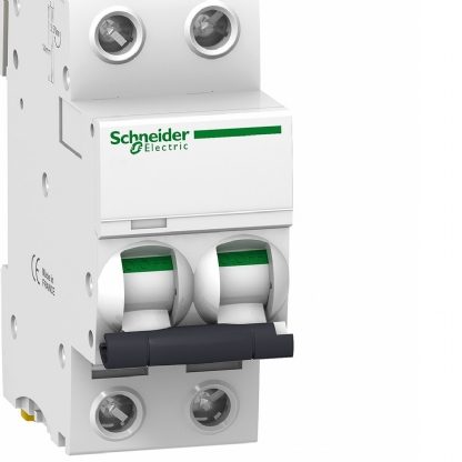 Disjuntor Mini Din Bipolar 20A Curva C 6Ka 230/400V A9F74220BR - Schneider Electric