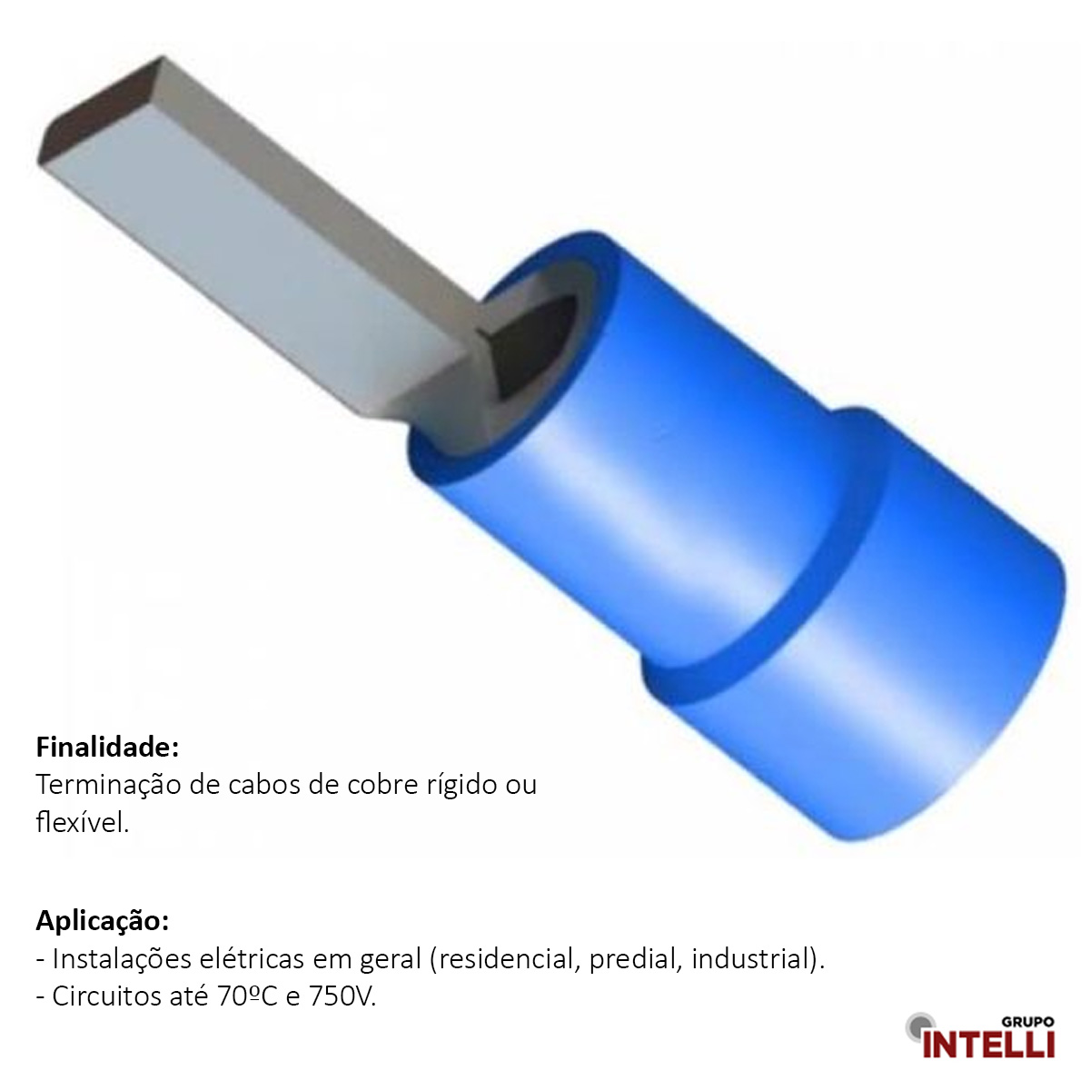 Terminal Pino Tubular 50Mm Pre-Isolado Azul 15786 Intelli