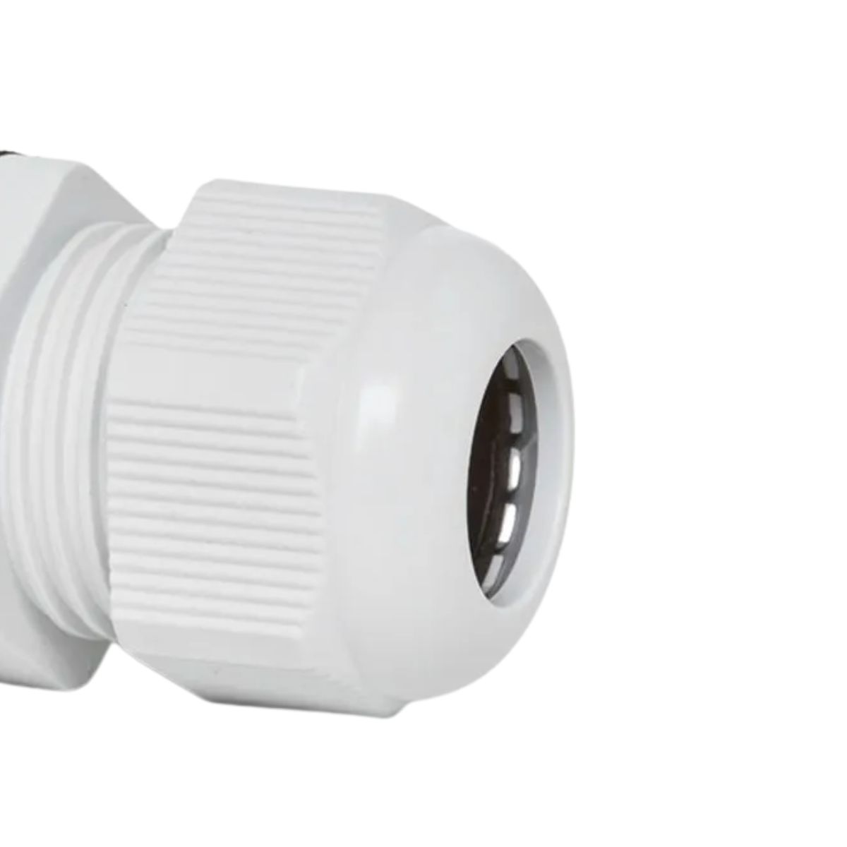 Prensa Cabo Longo Pg36 22-32Mm Pg Nylon Cz Ip67 - Steck