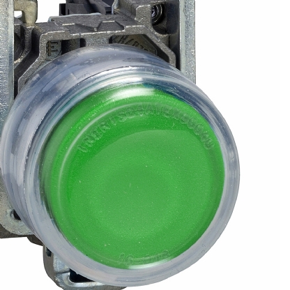 Botão Comutador Revestimento Transparente 1Na 22mm Verde XB4BP31 - Schneider Electric