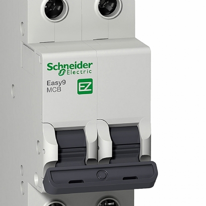 Disjuntor Mini Din Bipolar 4A Curva C 3Ka 230/400V EZ9F33204 - Schneider Electric