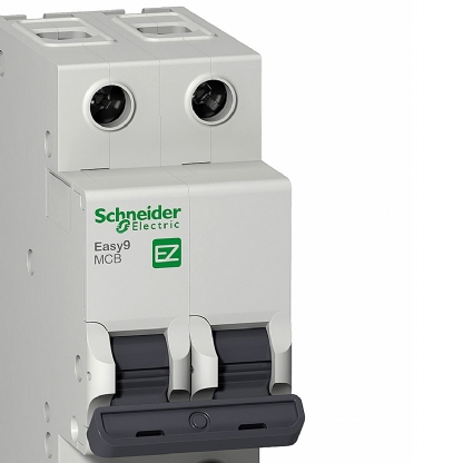 Disjuntor Mini Din Bipolar 20A Curva B 3Ka 230/400V EZ9F13220 - Schneider Electric