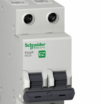 Disjuntor Mini Din Bipolar 50A Curva B 3Ka 230/400V EZ9F13250 - Schneider Electric