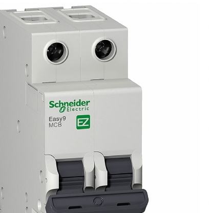 Disjuntor Mini Din Bipolar 63A Curva B 3Ka 230/400V EZ9F13263 - Schneider Electric