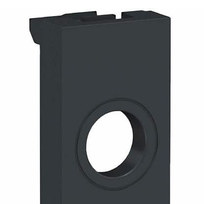 Módulo Saida De Fio 2 Unidades Orion Grafite - Schneider Electric