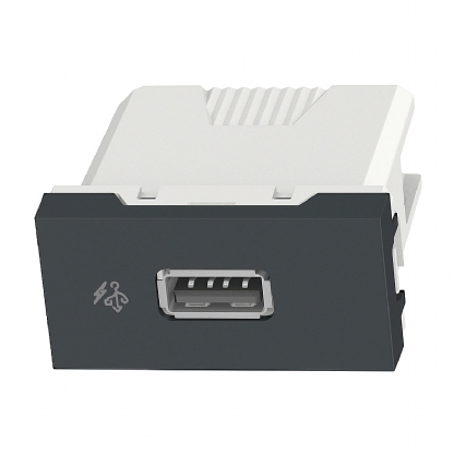 Módulo Tomada Carregador Entrada Usb 1A Bivolt Orion Grafite - Schneider Electric