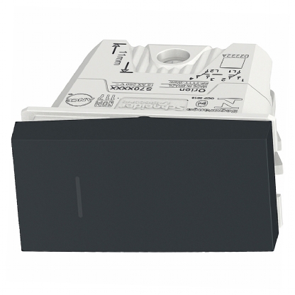 Módulo Interruptor Bipolar Paralelo 10A Orion Grafite - Schneider Electric