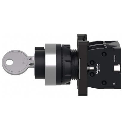 Botão Comutador Com Chave 22Mm 2 Posições Fixas 2Na Preto XA2EG43 - Schneider Electric