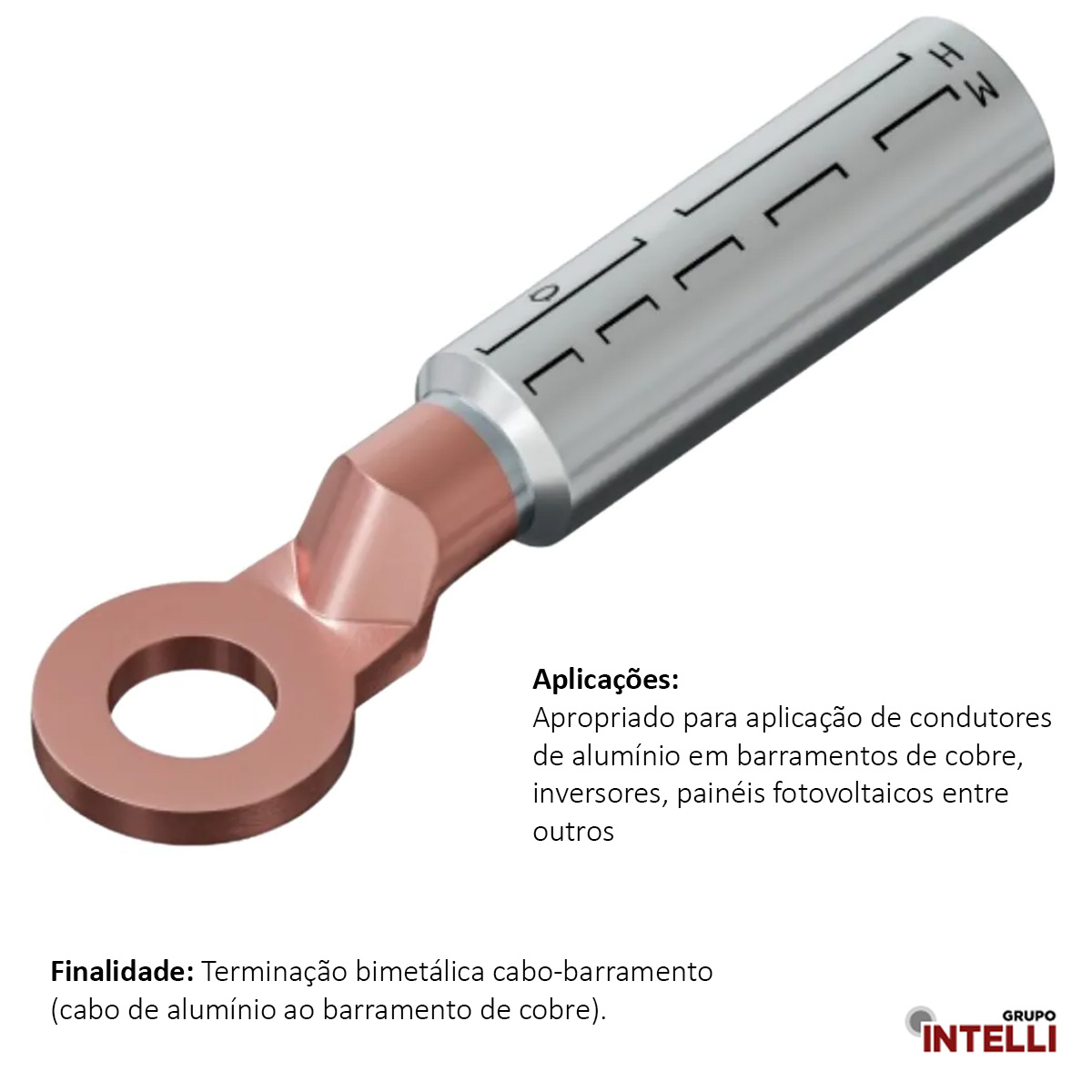 Terminal Compressão Cabo/Barramento 70Mm 1 Furo F=12,8Mm 1/2 (M12) 62840 Intelli