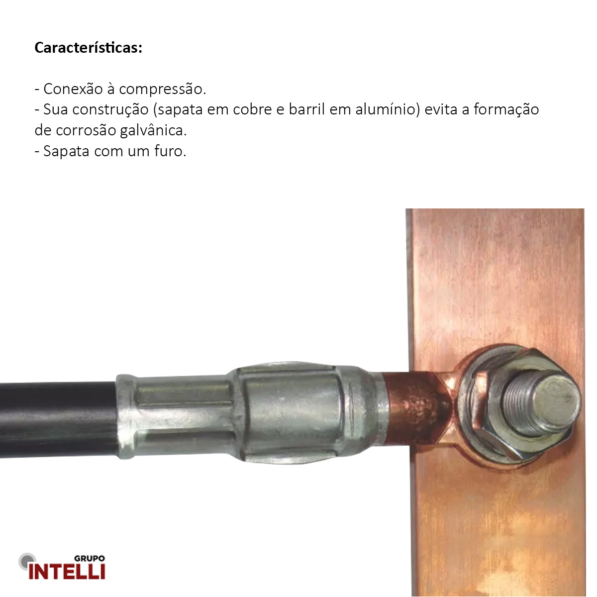 Terminal Compressão Cabo/Barramento 70Mm 1 Furo F=12,8Mm 1/2 (M12) 62840 Intelli