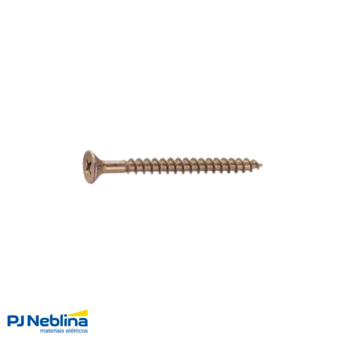 Cartela Parafuso Cab Chata Bicro Philips 5,0 X 40 - Sfixa