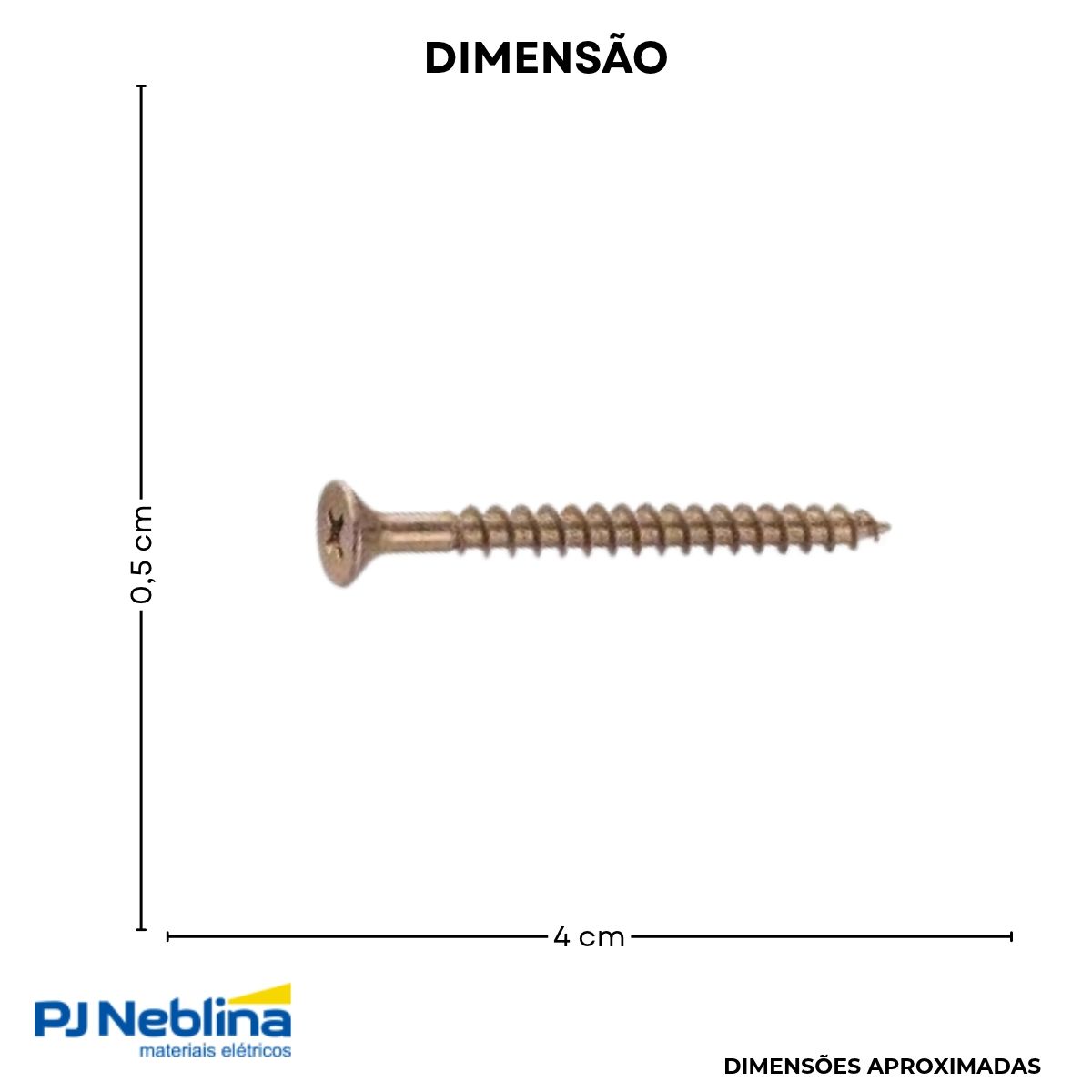 Cartela Parafuso Cab Chata Bicro Philips 5,0 X 40 - Sfixa