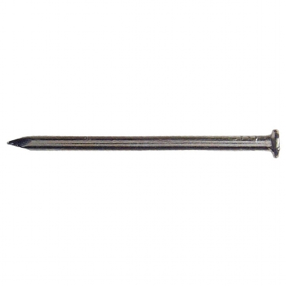 Cartela Prego Aço Com Cabeça 10x10 Com 20 Unidades - Sfixa - Sfixa