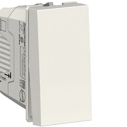 Módulo Interruptor Simples 10A Orion Branco - Schneider Electric