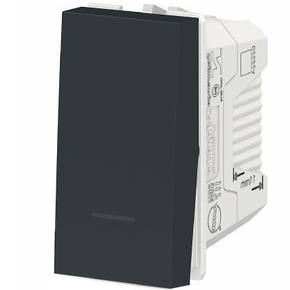 Módulo Interruptor Simples 10A Orion Grafite - Schneider Electric