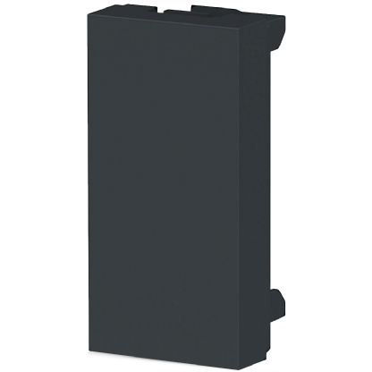 Módulo Cego 2 Unidades Orion Grafite - Schneider Electric