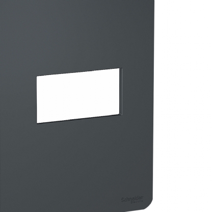 Placa Acabamento Horizontal 4X2 Orion Stellar Black - Schneider Electric