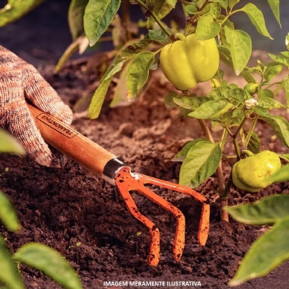 Ancinho Para Jardinagem Com Cabo Madeira 310X160X130mm - Tramontina