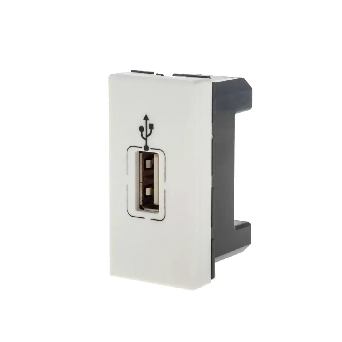 Módulo Tomada Dados 1 Entrada Usb 1 Módulo Branco Pialplus+ 615091bc - Pial