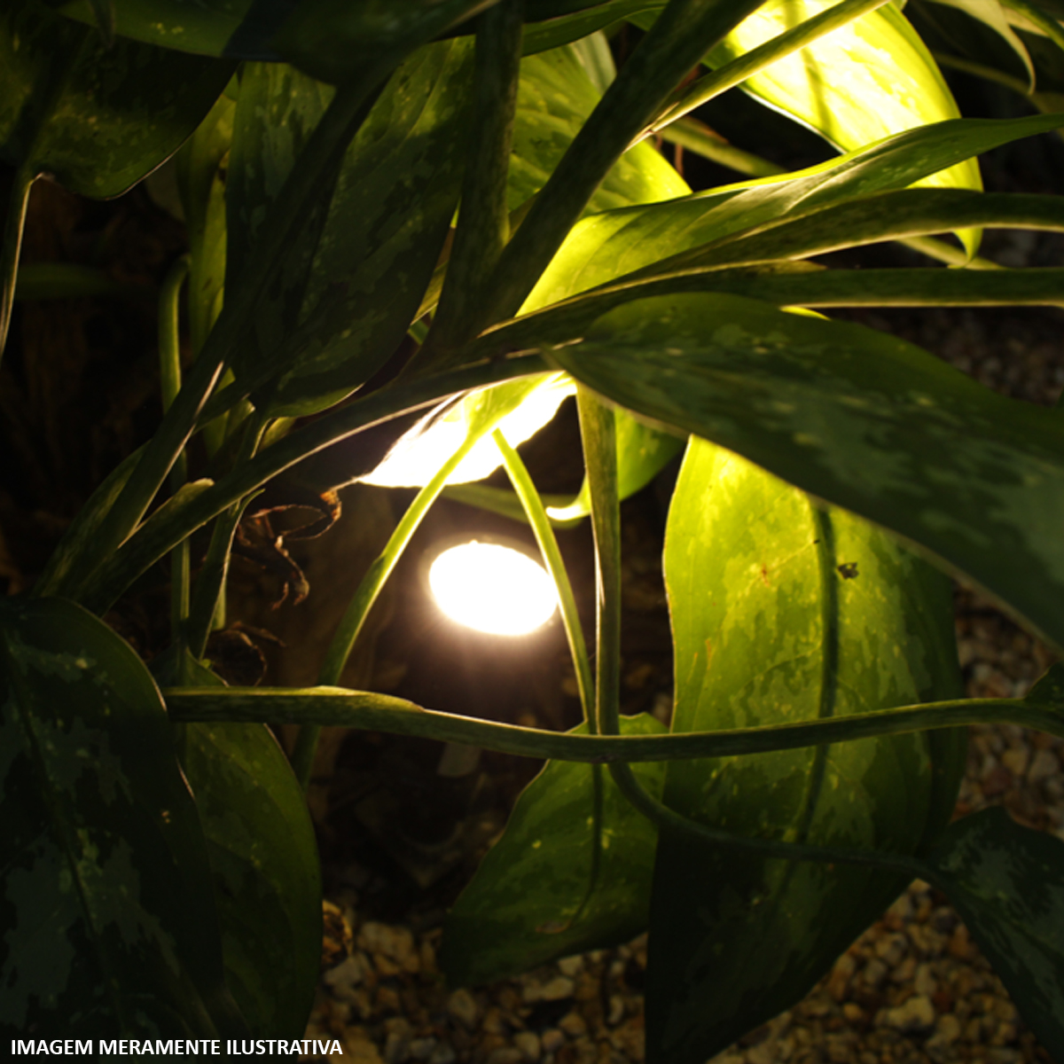 Luminária Espeto Jardim Redondo Preto Para Lâmpada Par38 E27 Difusor Vidro Transparente - Fm Lustre