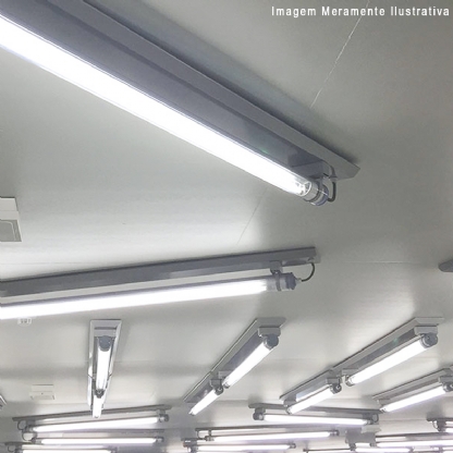 Lâmpada Led Tubular T5 8W Bivolt G5 6500K Luz Branca 563Mm - Philips