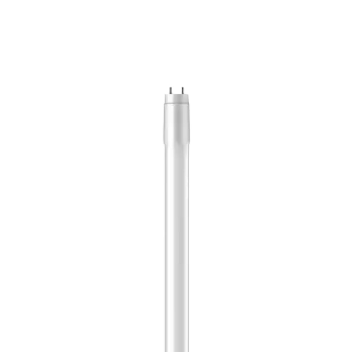 Lâmpada Led Tubular T8 9W Bivolt G13 6500K Branco Frio Luz Branca 900Lm 600Mm Vidro - Philips