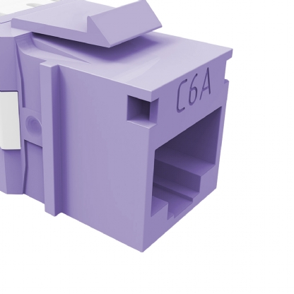 Conector Modular Keystone Rj45 Fêmea Cat6A Violeta - Furukawa