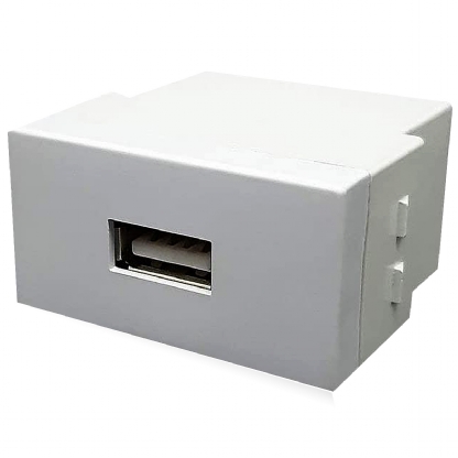 Módulo Tomada Carregador Entrada Usb 2A 250V Home Branco - Blux