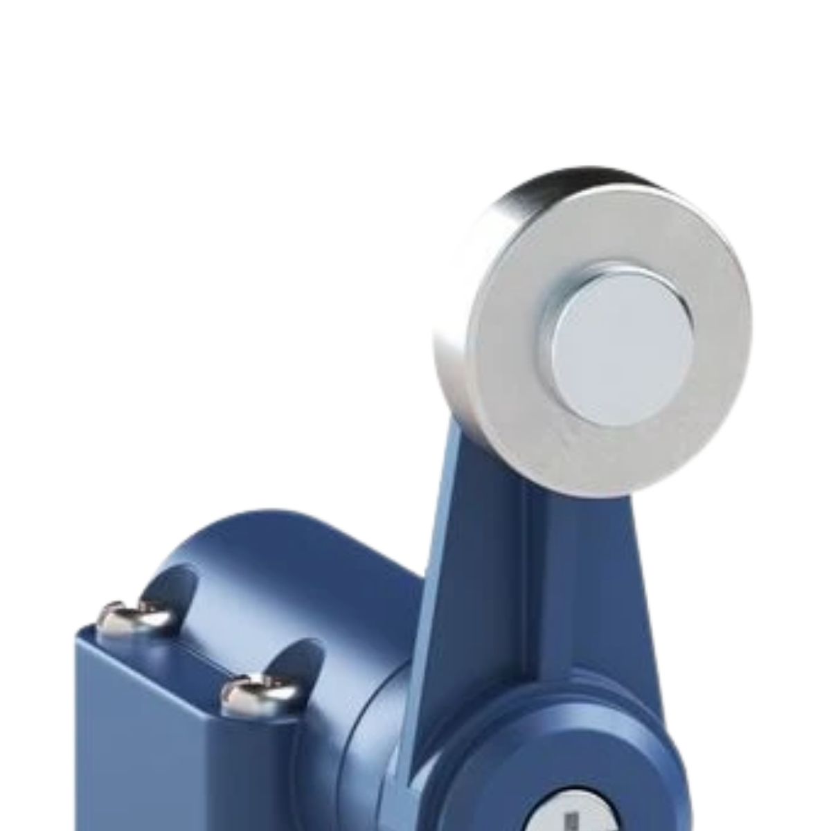 Atuador Chave Fim De Curso Alavanca C/Roldana 18 mm Metálico - Weg